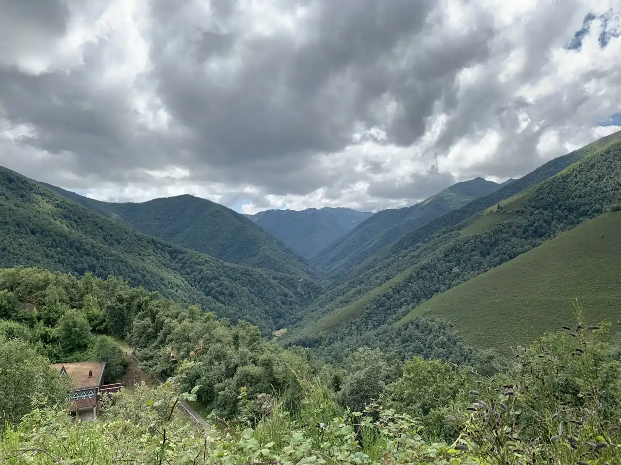 El Bosque de Muniellos (Asturias): Refugio Salvaje