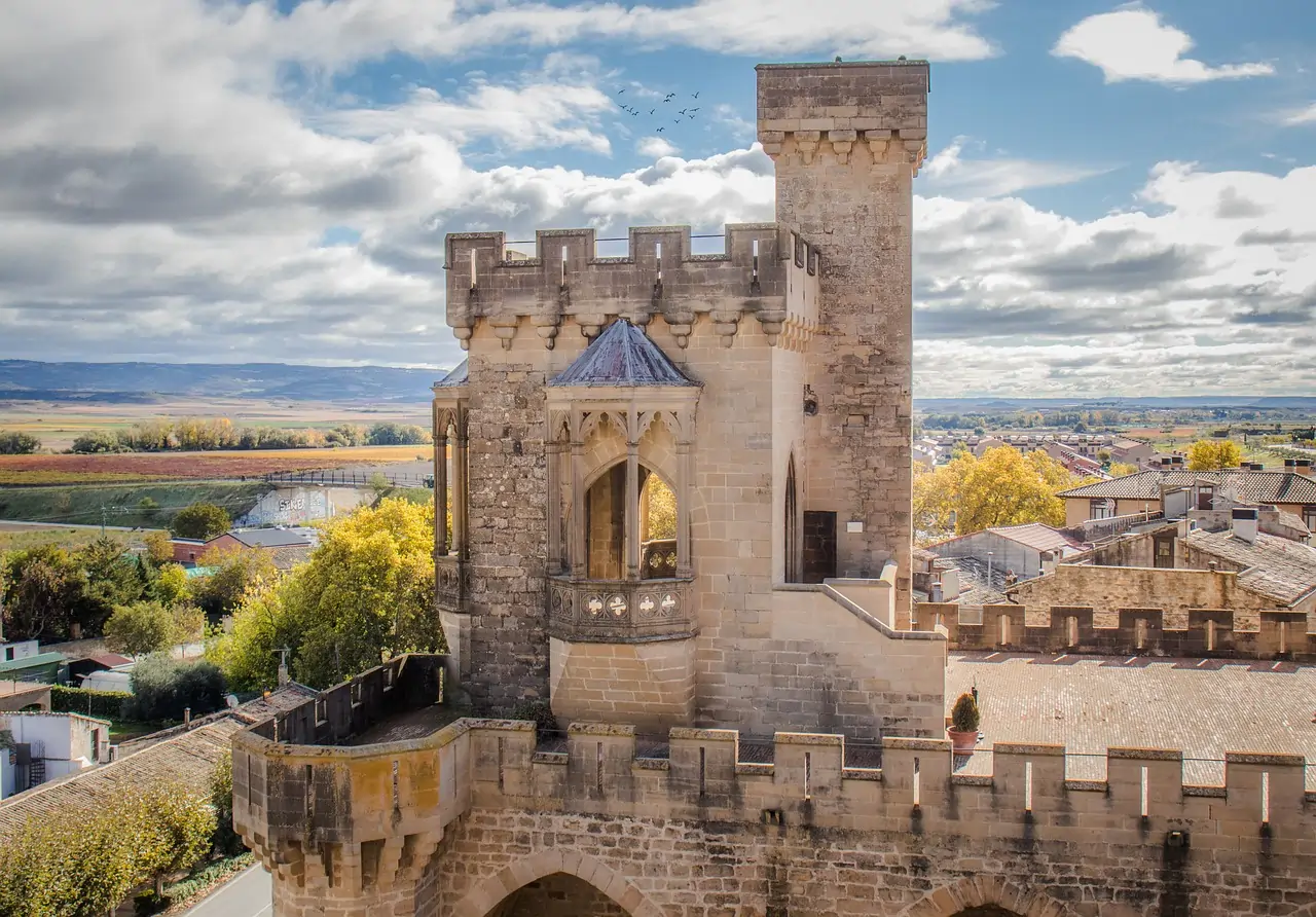 Castillo de Olite, Navarra
