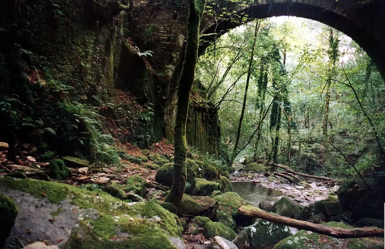 Fragas do Eume (Galicia): Un Refugio de Leyendas