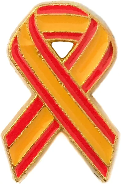 Pin de Solapa Pines de Broche escarapela de Bandera España Esmalte Con Borde